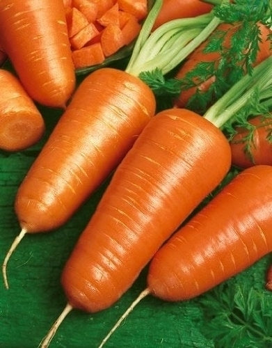 Chantenay Red Core Carrot Seeds | High-Yield Root Vegetable for Food Gardens