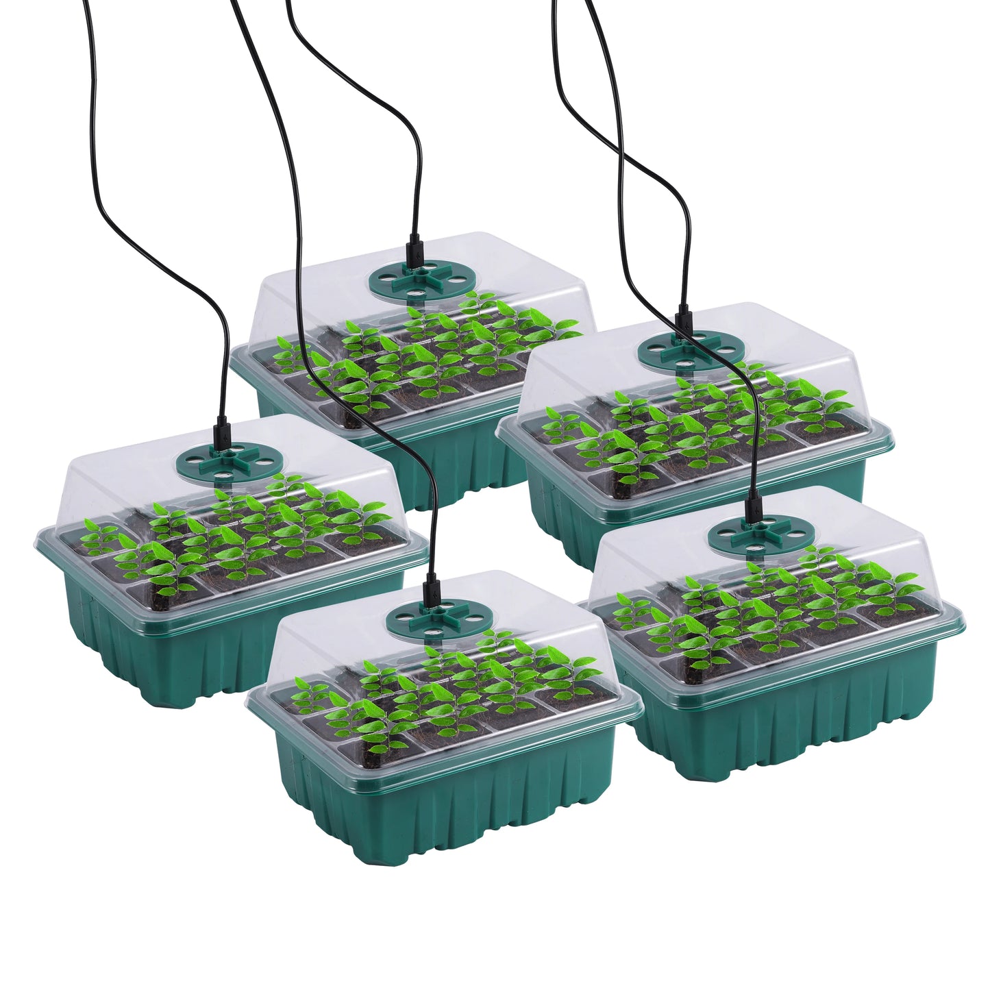 Seed Starter Tray Box with LED Grow Light – Indoor Seedling Nursery Kit
