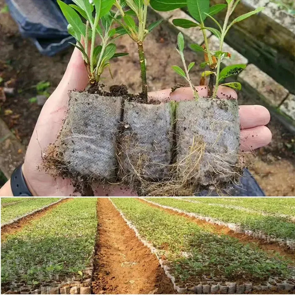Biodegradable Seed Nursery Bags | 100-Pack | Non-Woven Grow Bags | Homestead & Off-Grid Planting