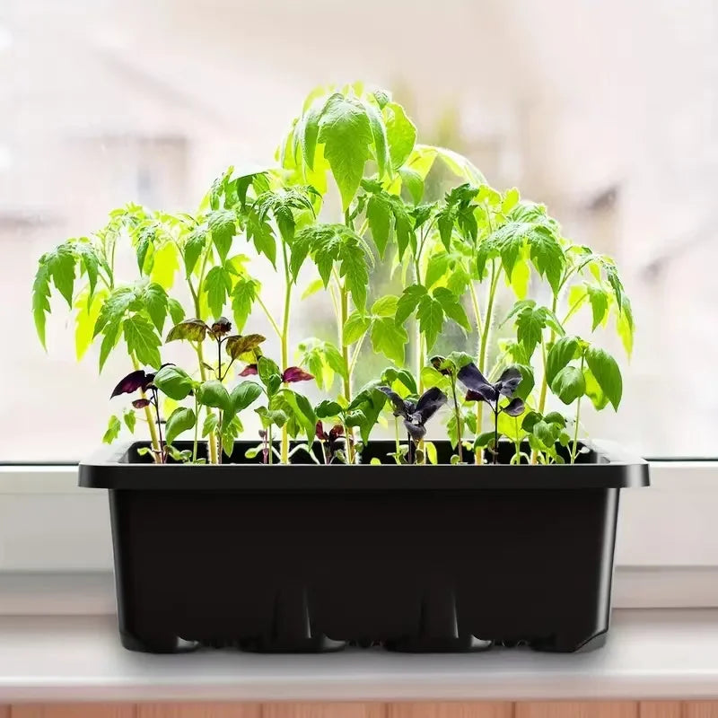 Seed Starter Kit with LED Grow Lights | 2 Germination Trays | Indoor Seedling Starter | Homestead & Off-Grid Growing