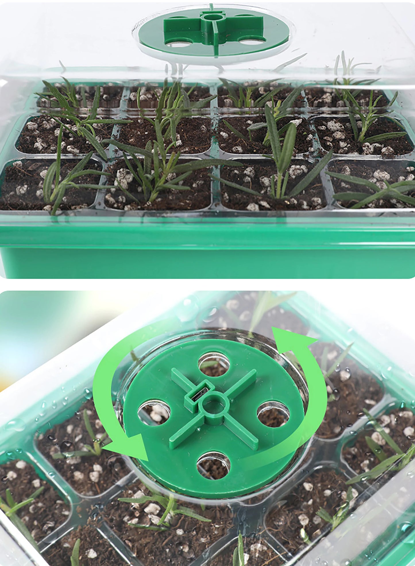 Seed Starter Tray Box with LED Grow Light – Indoor Seedling Nursery Kit