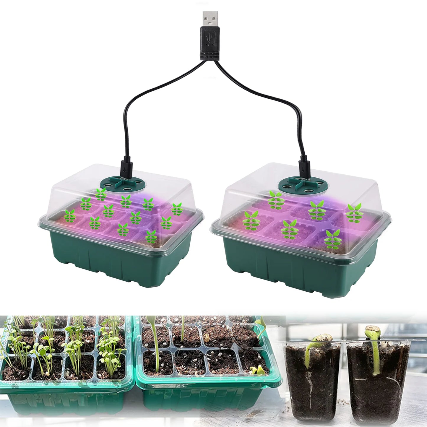 Seed Starter Tray Box with LED Grow Light – Indoor Seedling Nursery Kit