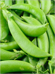 Sugar Snap Pea Seeds | High-Yield Survival Garden Vegetable