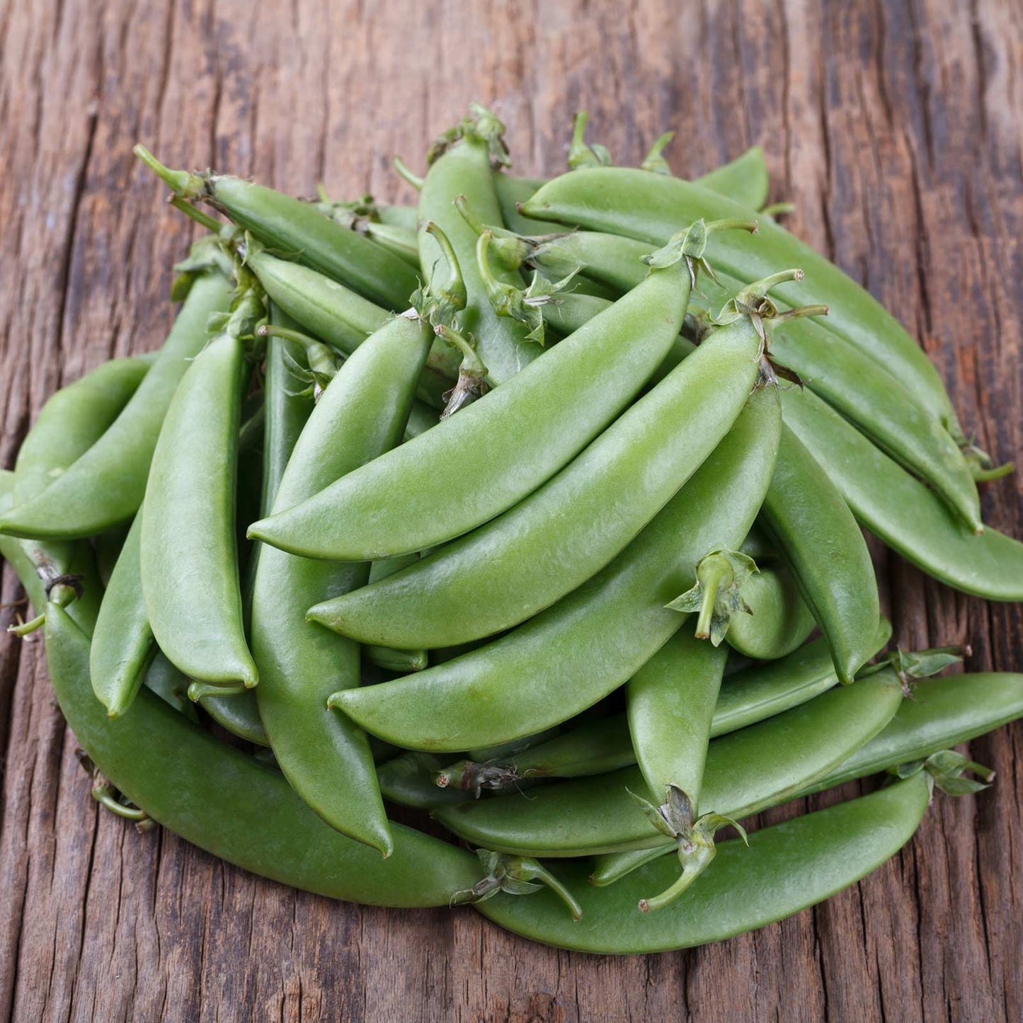 Sugar Snap Pea Seeds | High-Yield Survival Garden Vegetable