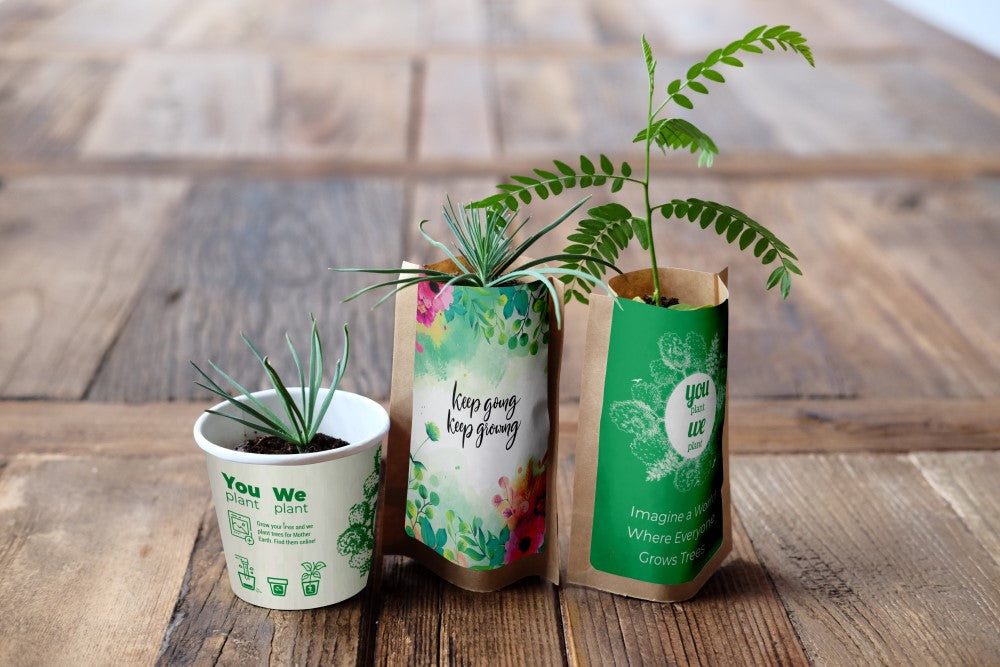 🌳 Tree Growing Kit | 3 Trees + We Plant 30 More | Biodegradable | Gift Pack