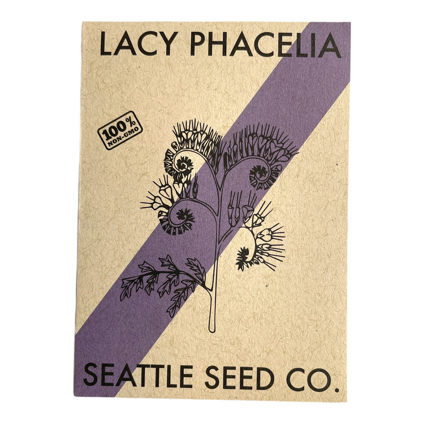 Lacy Phacelia Seeds | Pollinator Powerhouse & Cover Crop for Survival Gardens