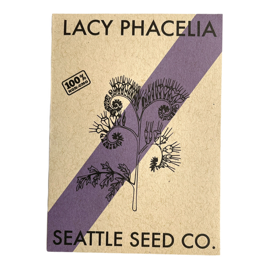 Seed packet for Lacy Phacelia by Seattle Seed Co. with a purple and beige design.