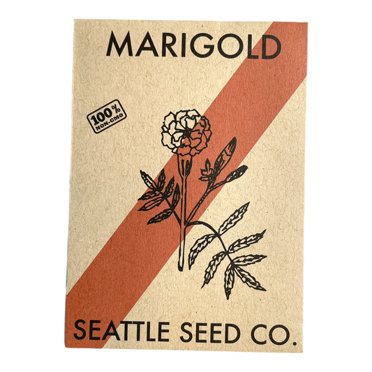 Seed packet for Marigold by Seattle Seed Co. with a brown background and red diagonal stripe.