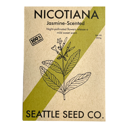 Seed packet for Nicotiana with jasmine-scented flowers from Seattle Seed Co.