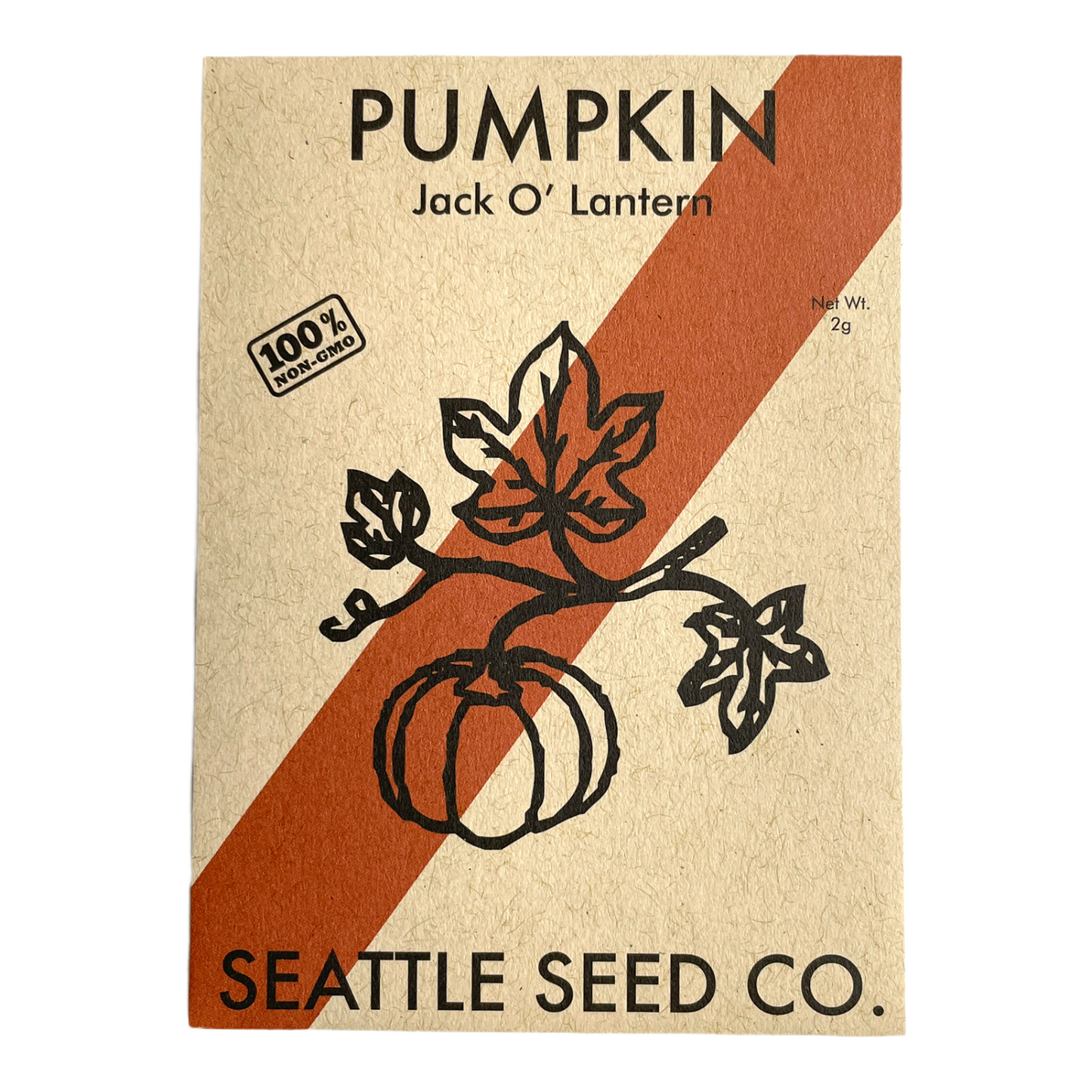 Jack O' Lantern Pumpkin Seeds | Classic Carving & Edible Homestead Pumpkin